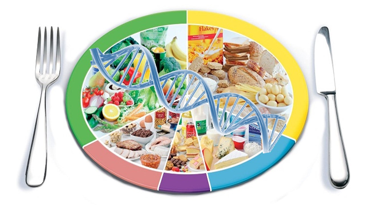Course Image BIOTECNOLOGÍA DE ALIMENTOS II 2023 (LCTA)