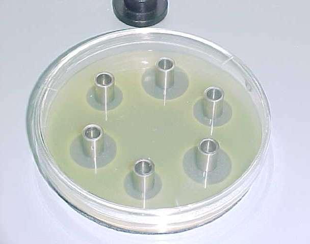 Course Image Valoración microbiologica de sustancias activas 2024