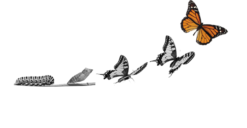 Course Image Didáctica y Epistemología de las Ciencias de la Salud 2025