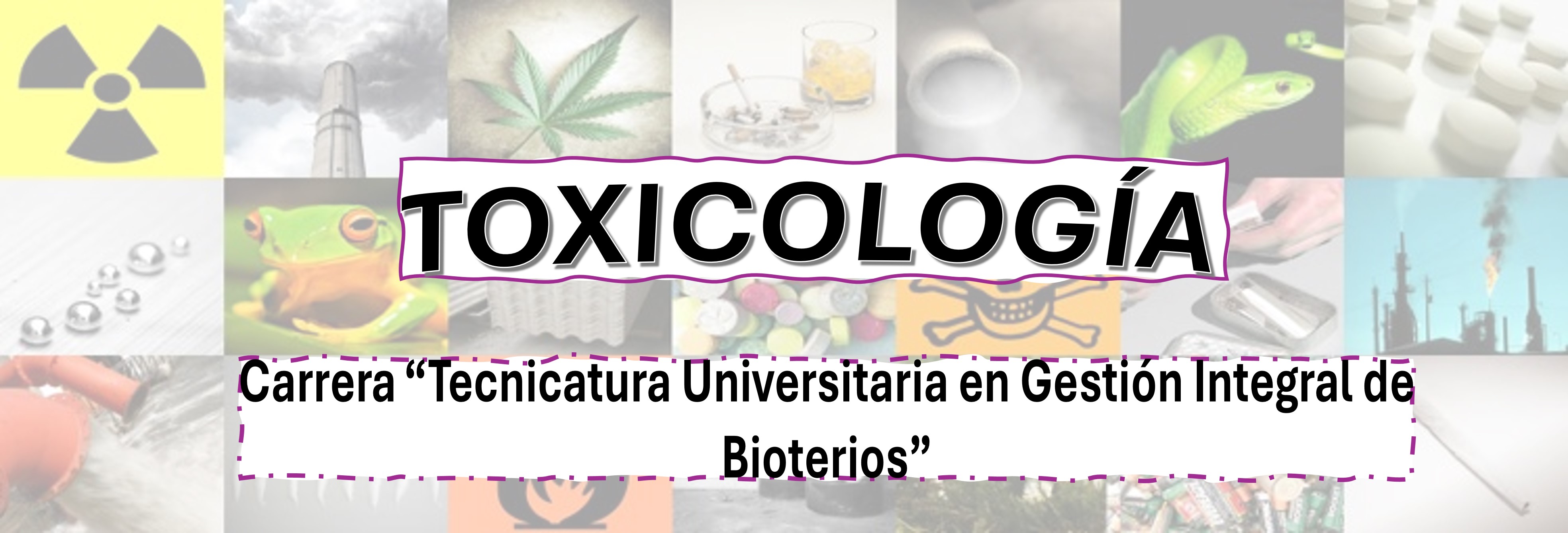 Course Image Toxicología 2025 TB